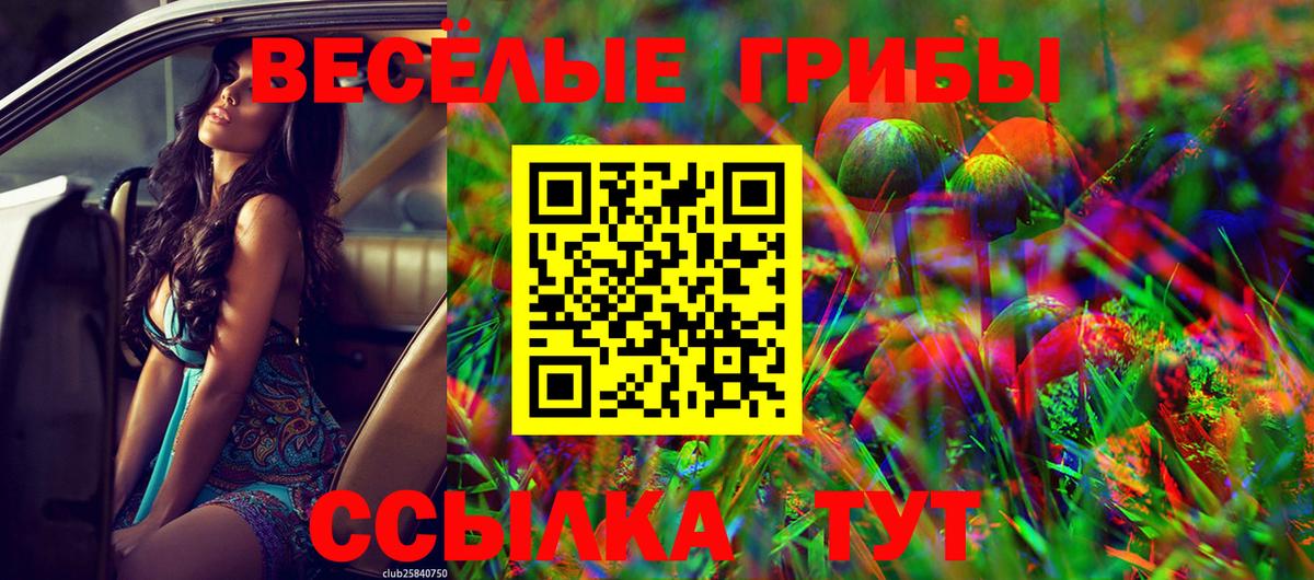 Псилоцибиновые грибы Cubensis  Вход с VPN  Чапаевск 