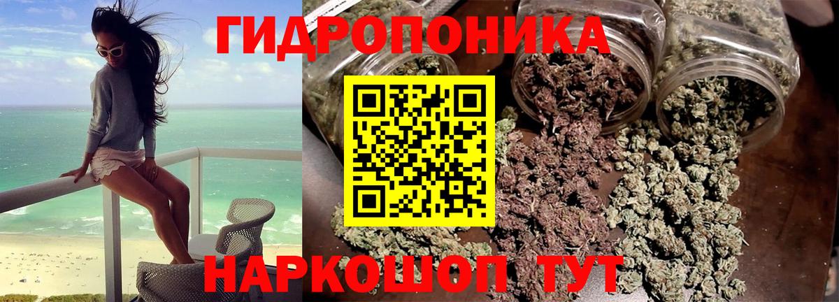 Конопля White Widow Чапаевск